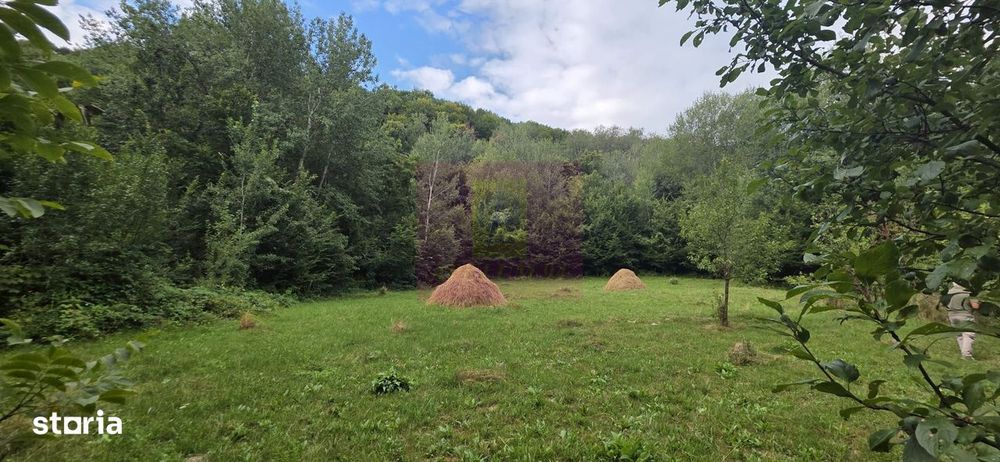 Teren de vanzare 15.000 mp in Telega