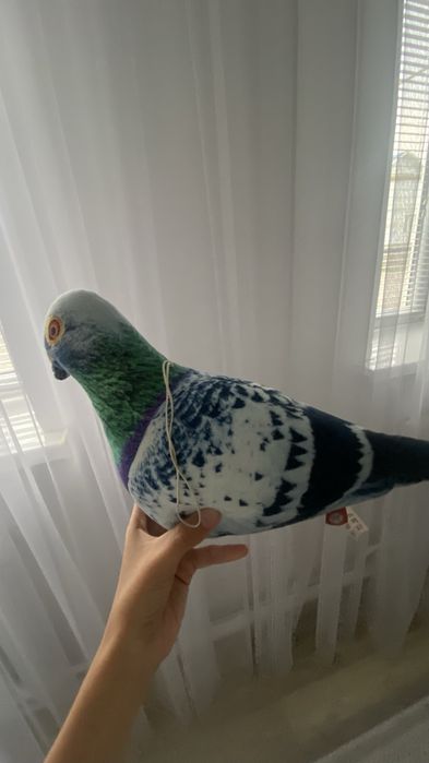 Мягкий голубь мем