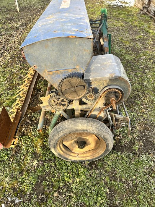 Semanatoare paioase 2,5 m metri fiona