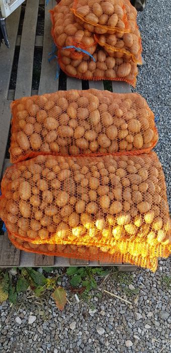 Vând cartofi ptr animale