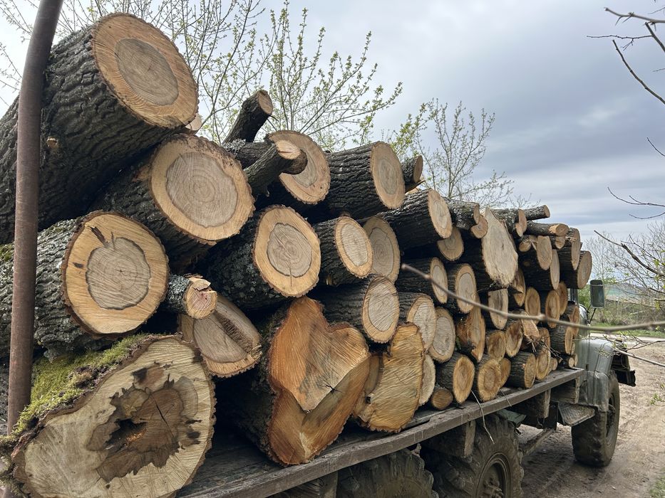 дърва за огрев метрови