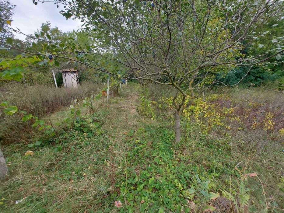 Едноетажна къща, с. Певец