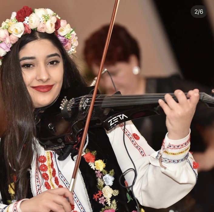 Lecții de vioară și pian pentru începători