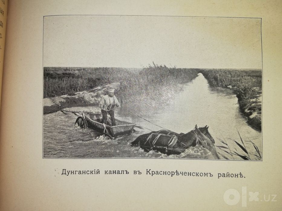 Почвы долины реки Чу.