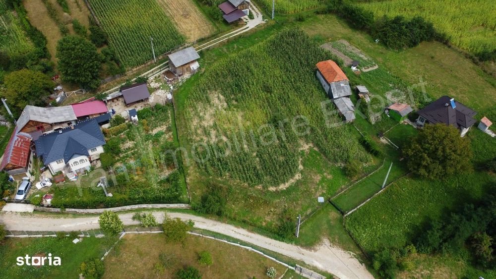 Teren de vânzare în comuna Băiculești, sat Tutana, județ Argeș.