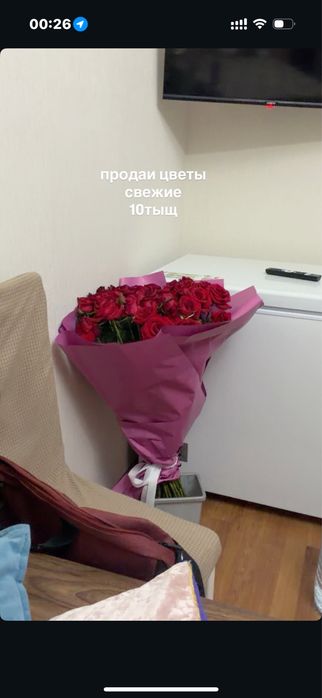 продам цветы, красивые,недорого