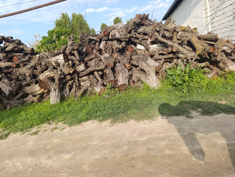 Oʻtin sotiladi. 2 isuzilar chiqadi. Toshkent viloyati Quyi Chirchiq