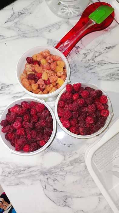 Продам саженцы ремонтантной малины