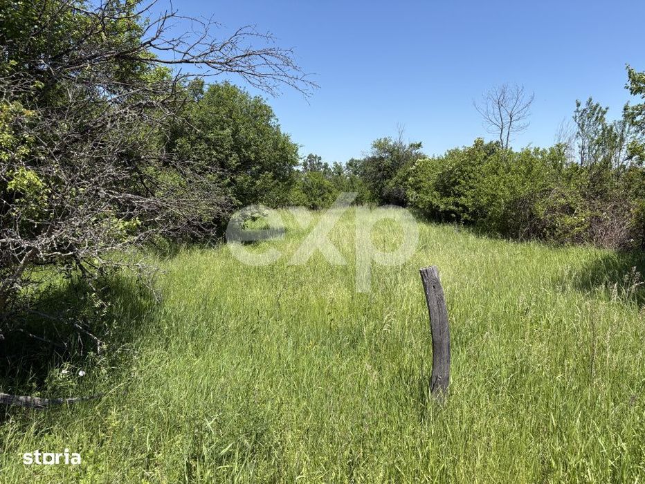Teren 2.200 mp langa padure, la 11 km de Pitesti – ideal pentru casa