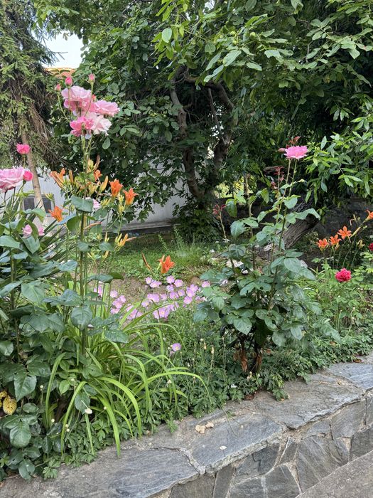 Къща за гости вила