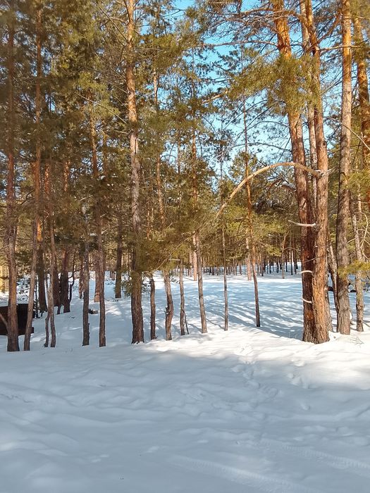 Продам Землю на Красном кардоне.