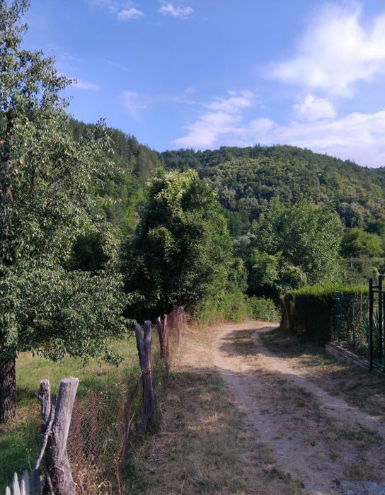 Продава парцел в с.Кадровица обл.Кюстендил