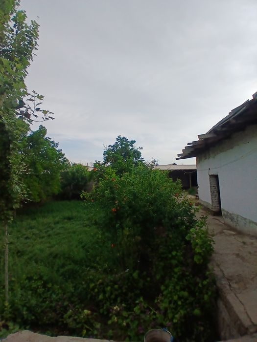 Hovli sotiladi qarshi shahar