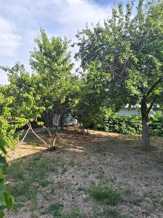 Продаётся своя  дача в Паркентском районе