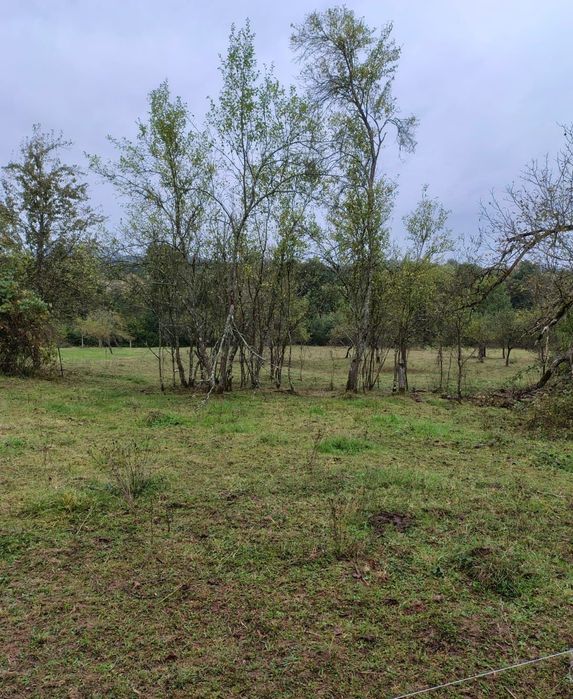 Casă cu teren 2 hectare intravilan