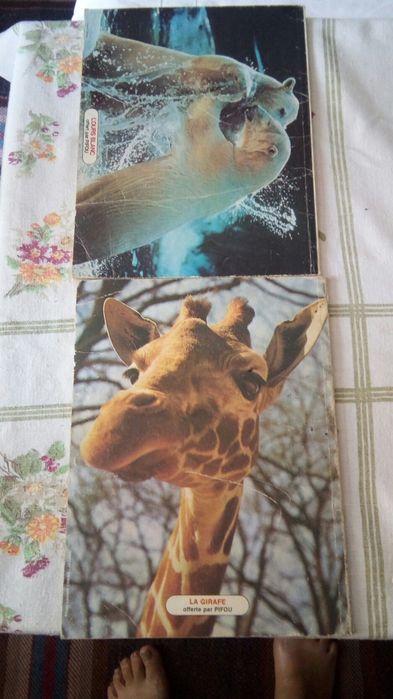 Списание Пиф- комикси Pifou