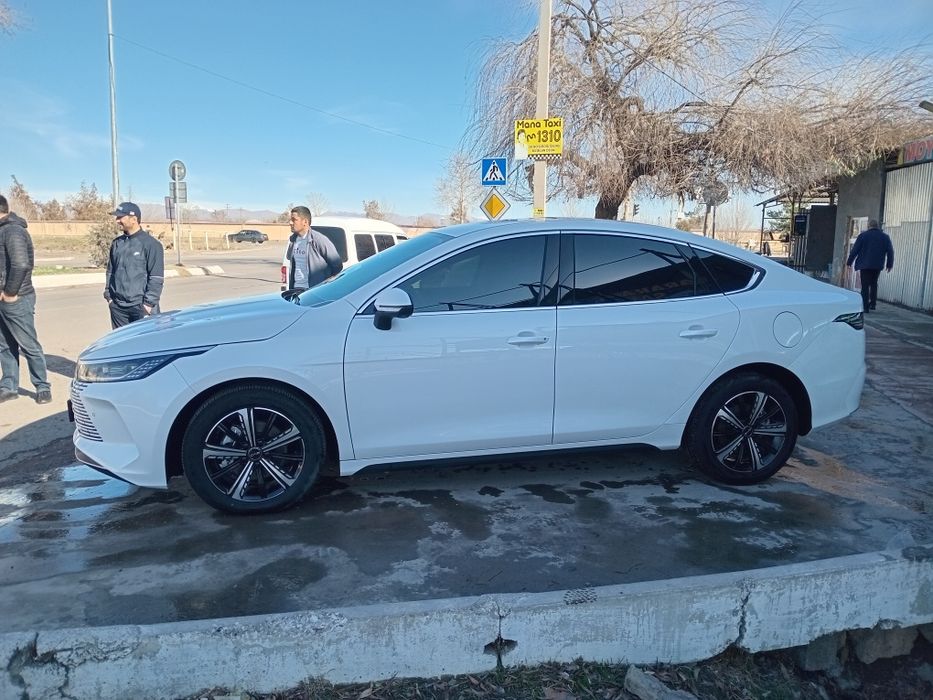 Byd Chazor Chempion 120