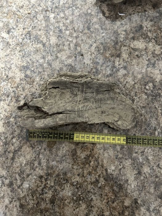 Diferite bucati de lemn decorativ pentru acvariu