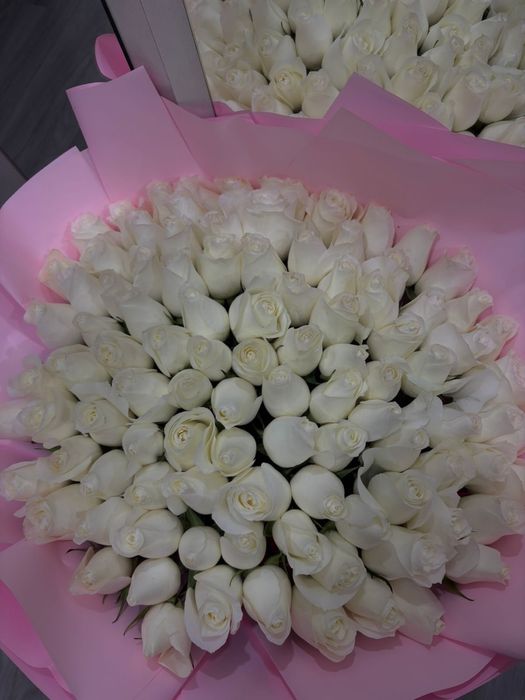 Белые розы 101 штук