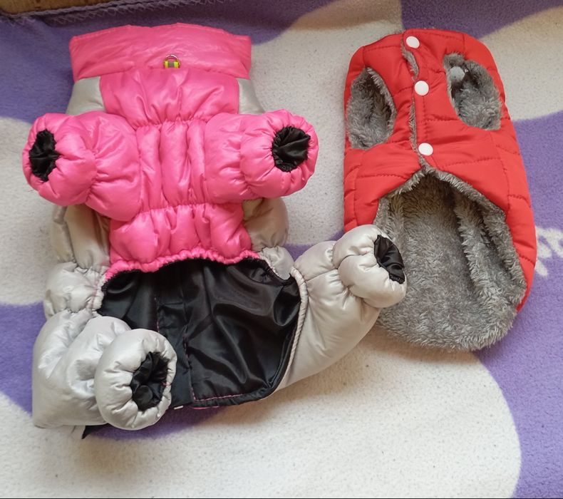 Чисто нова чанта и нови дрехи за малко кученце