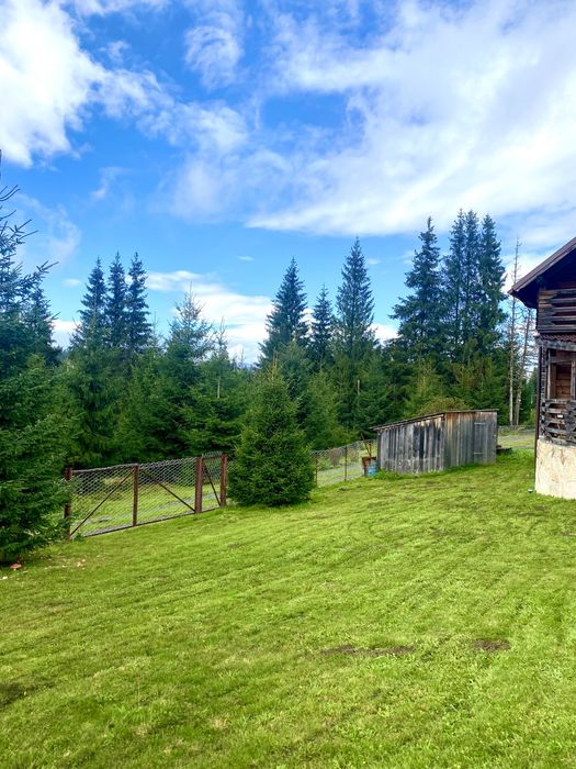 Cabana Beliș de inchiriat