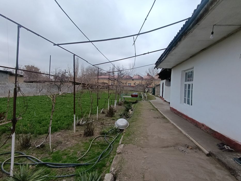 Sirdaryo sayhun obod uy sotiladi srocni