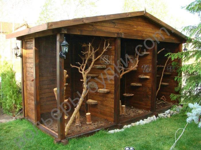 мини курятники с поддоном