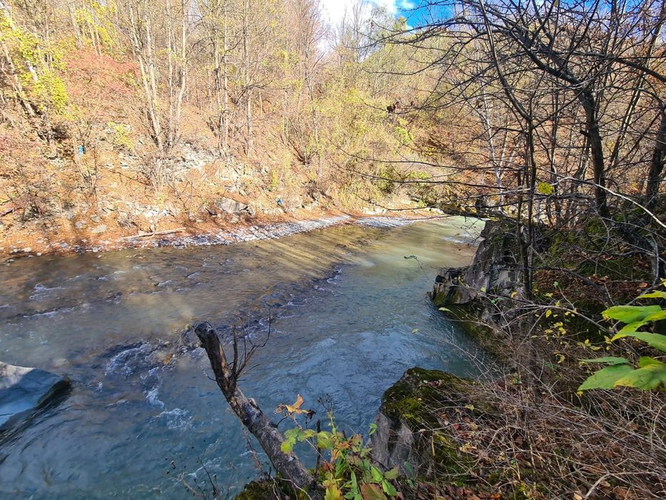 Vand teren Valea  Doftanei in coada lacului Paltinu