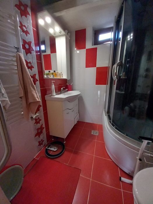 Casă de vânzare în comuna Apa – proprietate spațioasă, eficientă energetic, cu teren generos de 3.200 m²