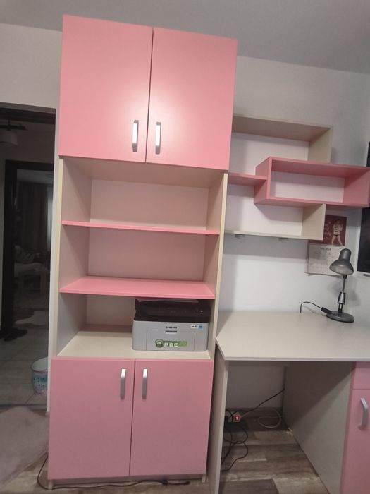 Mobilier  birou și bibleoteca