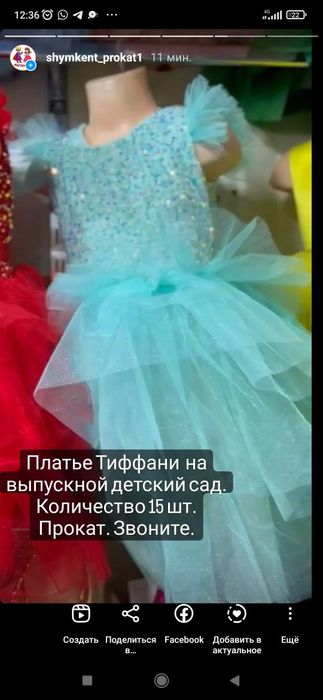 Карнавальные костюмы. Мантия.