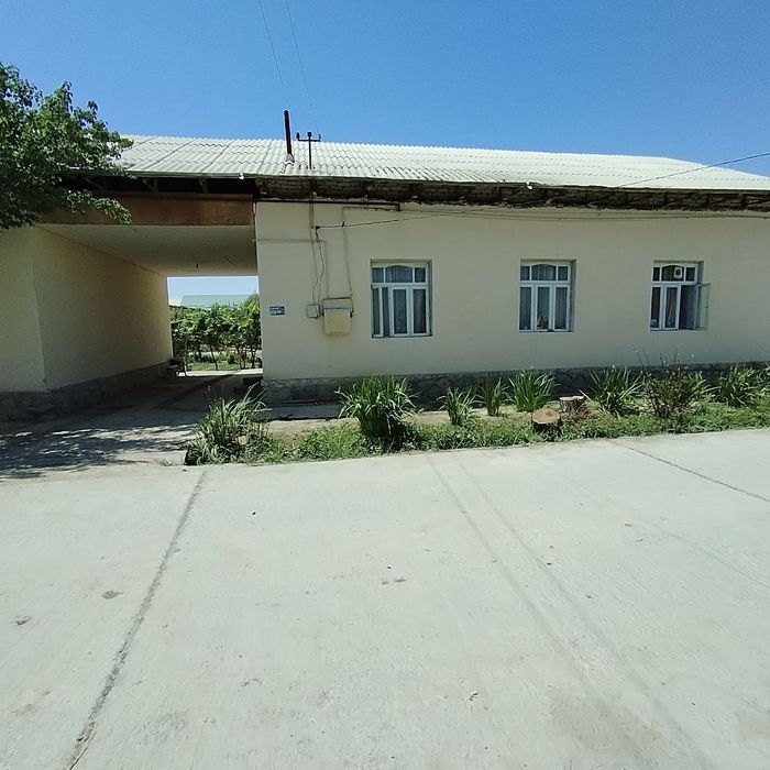 Нарпай 3. Ховли сотилади 370 млн