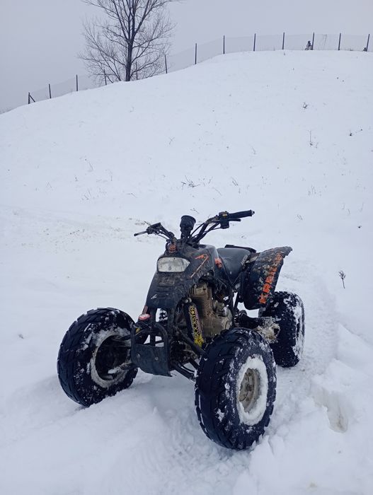ATV quad barossa mustang