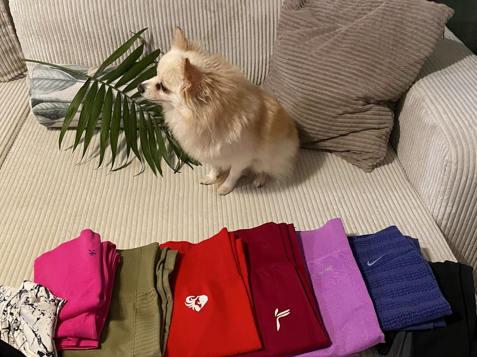 Удобни дамски клинове, различни цветове