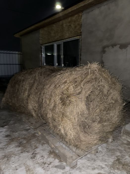 Сено в руллоне хорошее