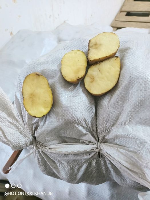 Картошка картофель