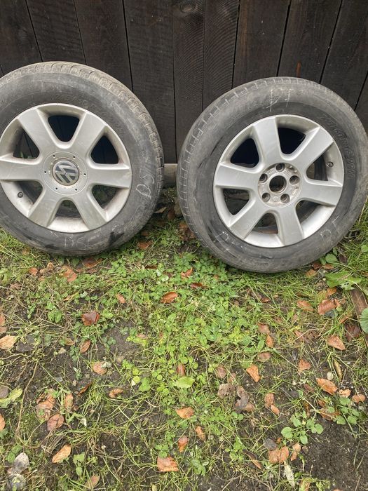 Jenti pentru w pasat  pe 16