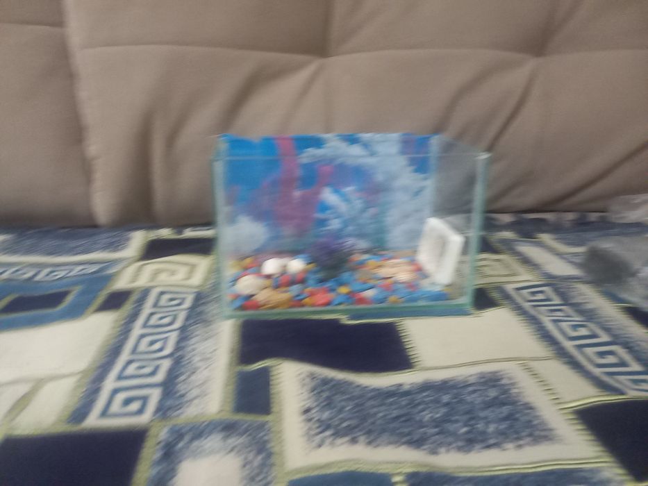 Продам 4л аквариум