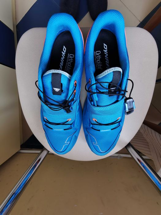 Dynafit alpine pro
