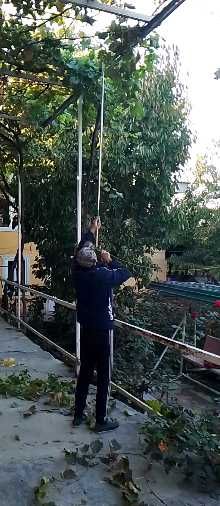 Юқоридаги шохлар ва гул буталари учун секатор.