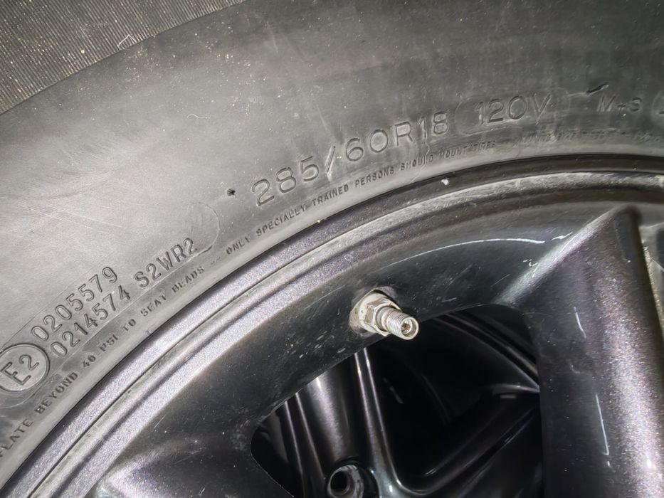 Пролам летние шины