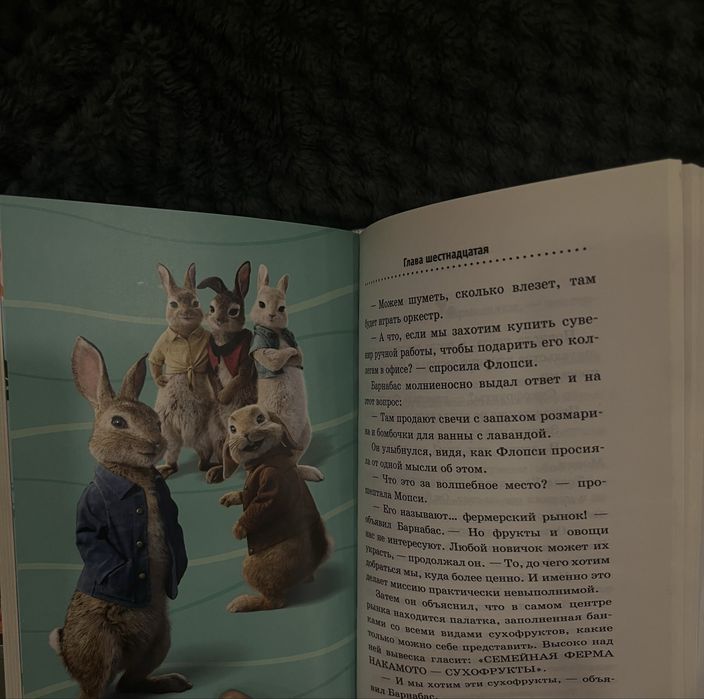 Книга Кролик Питер 2