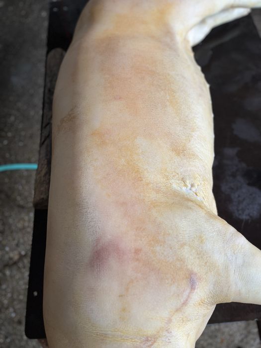 Свинско прясно месо