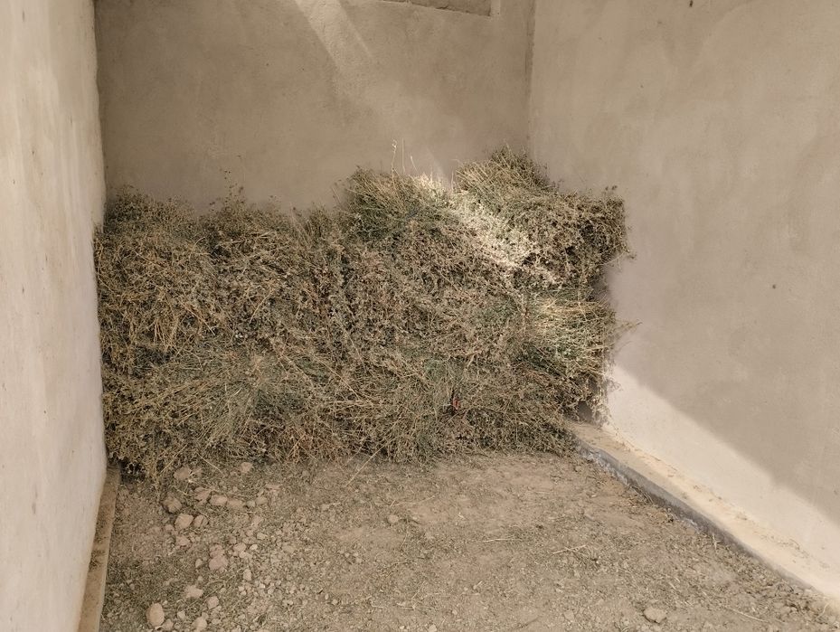 Beda sotiladi,yaxshi holatda