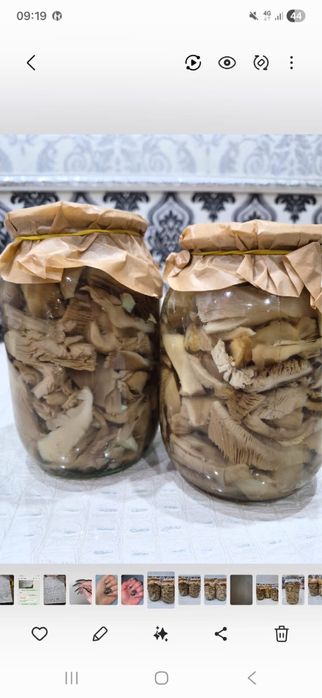 Продам грибы маринованные