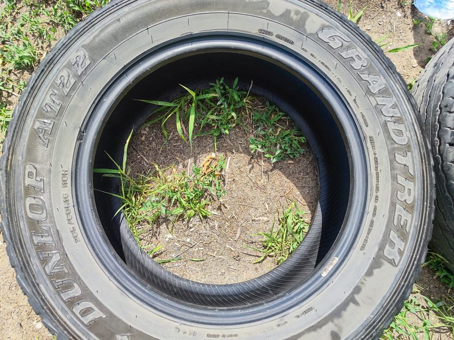 Продам пару шин Dunlop