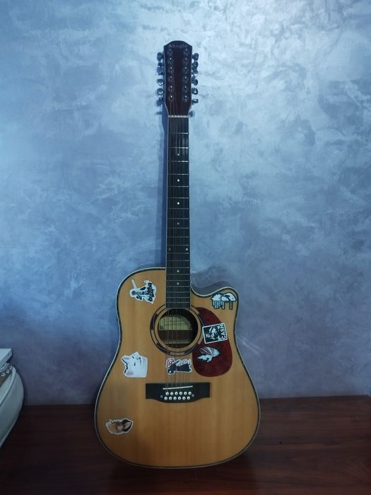 12 струнная гитара