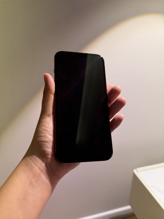 Iphone 13 pro max 256gb