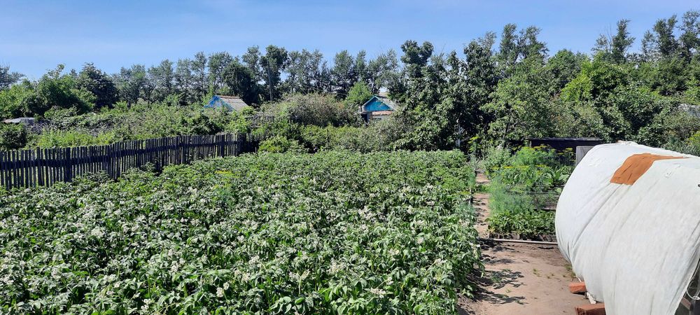 Продам дачу 1 общество