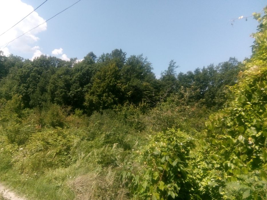 Продава се Земеделски имот в Габрово, Шенини -  кв.м за 17 €/дка - Снимка #5